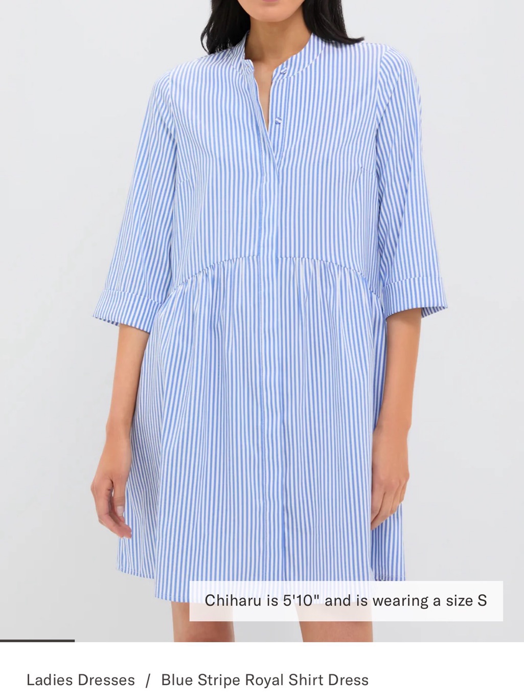 Tuckernuck Blue And White Royal Shirt Dress